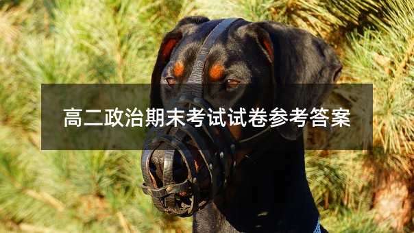 高二政治期末考试试卷参考答案