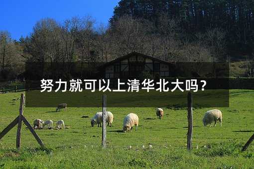 努力就可以上清华北大吗?