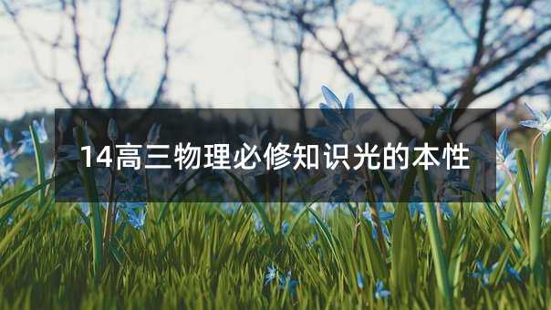 14高三物理必修知识光的本性