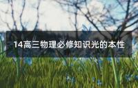 14高三物理必修知识光的本性