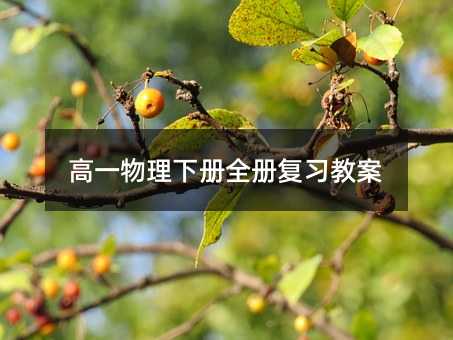 高一物理下册全册复习教案
