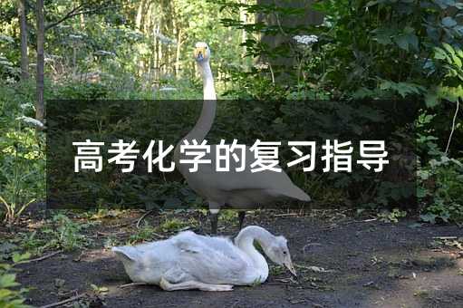 高考化学的复习指导
