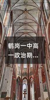 鹤岗一中高一政治期中试题
