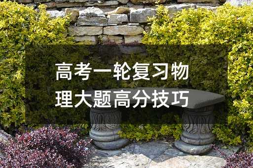 高考一轮复习物理大题高分技巧