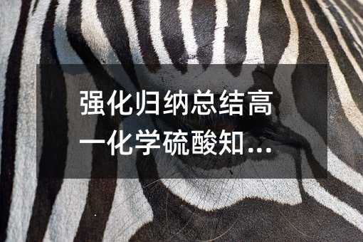强化归纳总结高一化学硫酸知识点