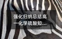 强化归纳总结高一化学硫酸知识点