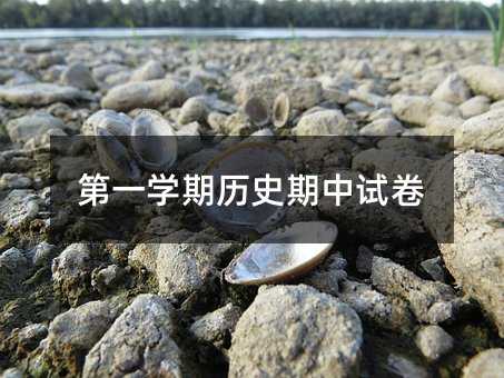 第一学期历史期中试卷