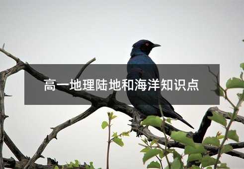 高一地理陆地和海洋知识点
