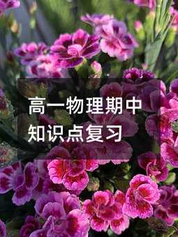 高一物理期中知识点复习
