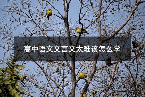 高中语文文言文太难该怎么学