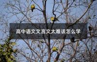 高中语文文言文太难该怎么学