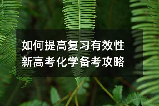 如何提高复习有效性 新高考化学备考攻略