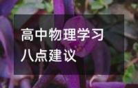 高中物理学习八点建议