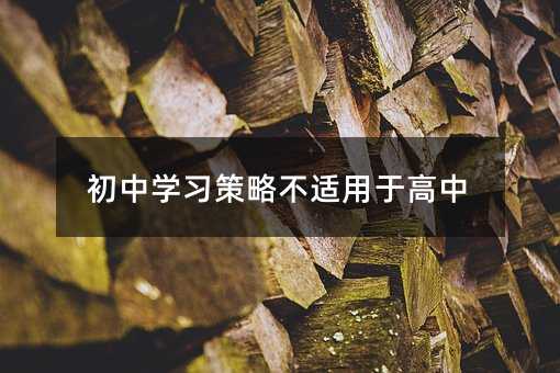 初中学习策略不适用于高中