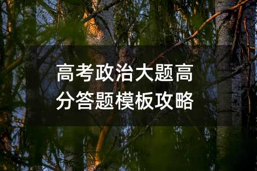 高考政治大题高分答题模板攻略