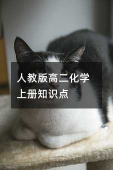 人教版高二化学上册知识点