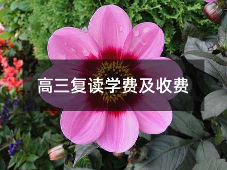 高三复读学费及收费