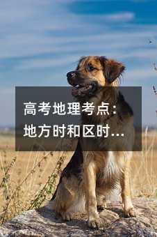 高考地理考点:地方时和区时和昼夜长短