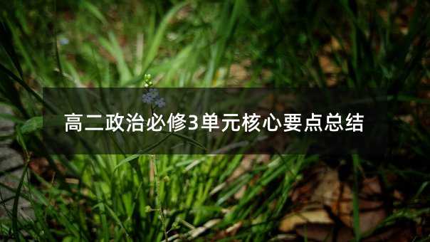 高二政治必修3单元核心要点总结
