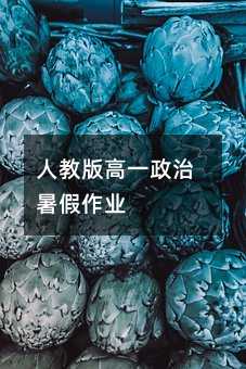人教版高一政治暑假作业