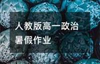 人教版高一政治暑假作业
