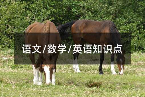 语文/数学/英语知识点