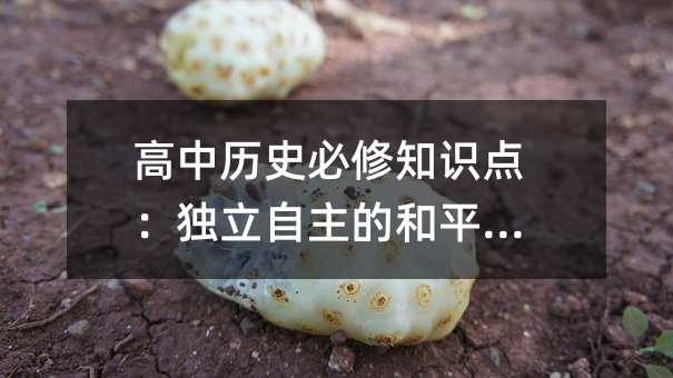 高中历史必修知识点:独立自主的和平外交