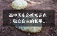 高中历史必修知识点：独立自主的和平外交