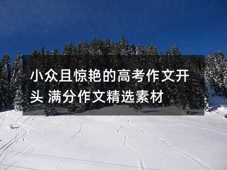 小众且惊艳的高考作文开头 满分作文精选素材