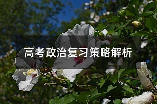 高考政治复习策略解析