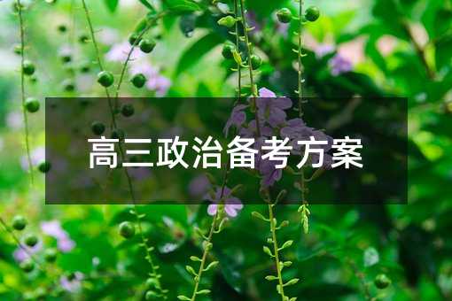 高三政治备考方案