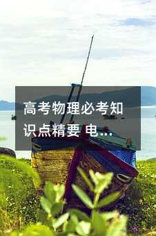 高考物理必考知识点精要 电磁感应