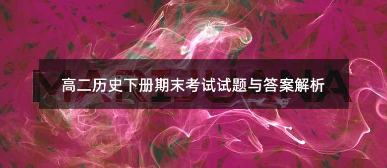 高二历史下册期末考试试题与答案解析