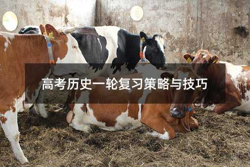 高考历史一轮复习策略与技巧