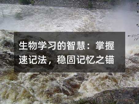 生物学习的智慧:掌握速记法,稳固记忆之锚