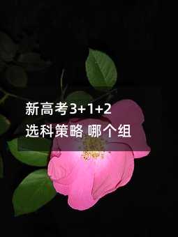 新高考3+1+2选科策略 哪个组合最好