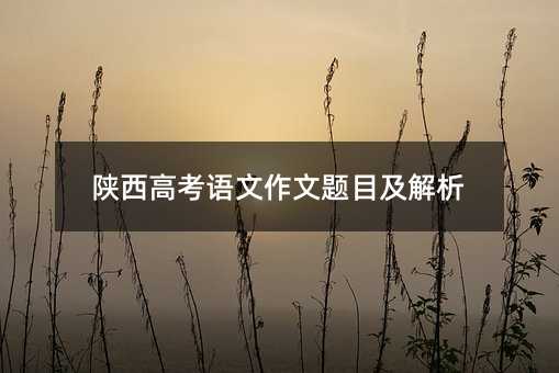 陕西高考语文作文题目及解析