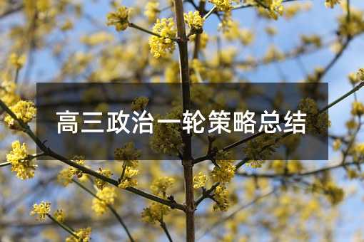 高三政治一轮策略总结