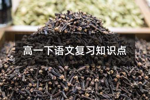 高一下语文复习知识点