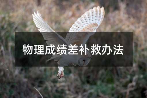物理成绩差补救办法