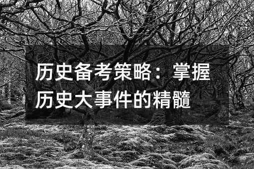 历史备考策略:掌握历史大事件的精髓