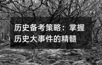 历史备考策略：掌握历史大事件的精髓