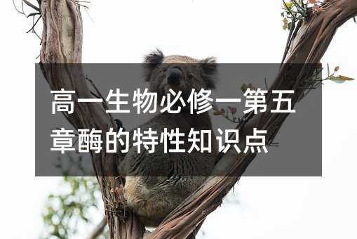高一生物必修一第五章酶的特性知识点
