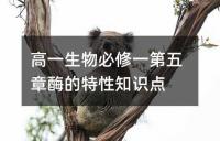 高一生物必修一第五章酶的特性知识点