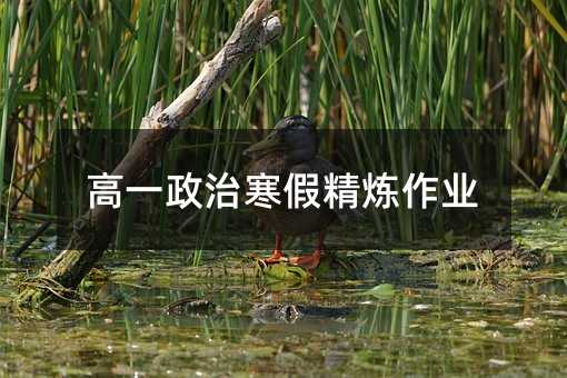 高一政治寒假精炼作业