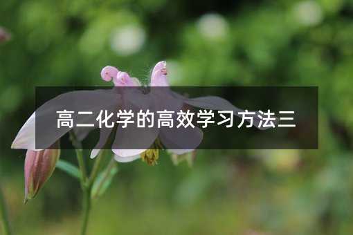 高二化学的高效学习方法三
