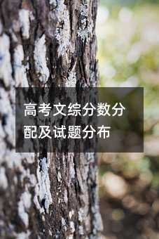 高考文综分数分配及试题分布