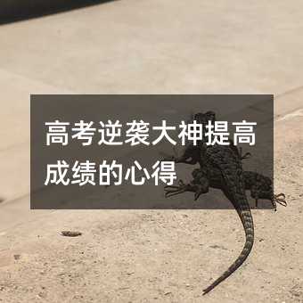高考逆袭大神提高成绩的心得