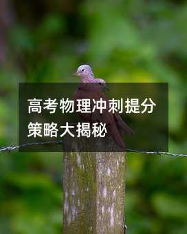 高考物理冲刺提分策略大揭秘