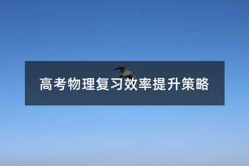高考物理复习效率提升策略